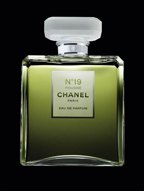 green chanel perfume notes|best Chanel perfume fragrantica.